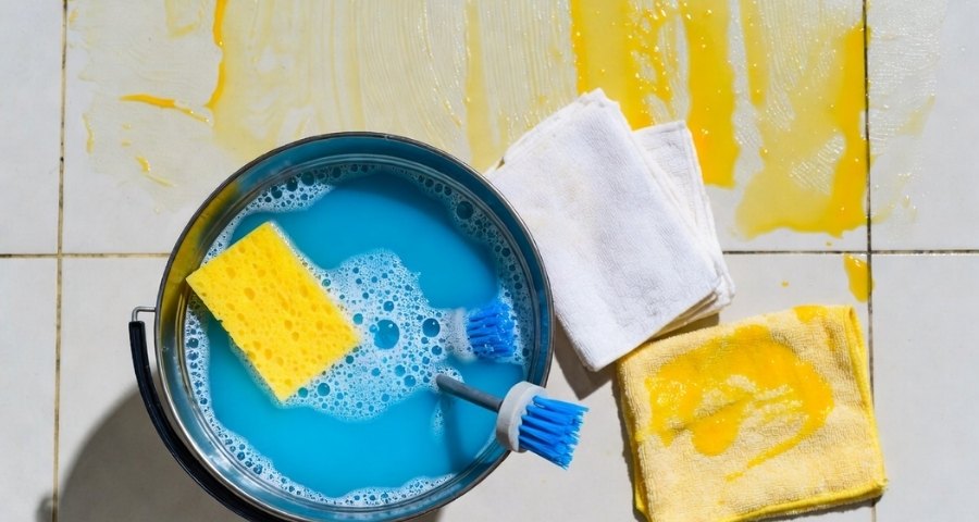 What It Costs to Have Your Property Professionally Deep Cleaned by Northern Cleanup