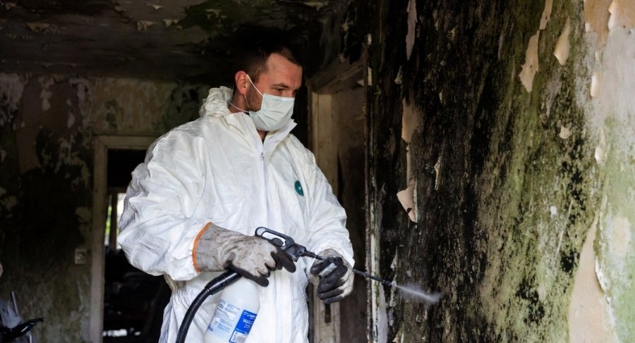 What Squat Clearance Typically Costs