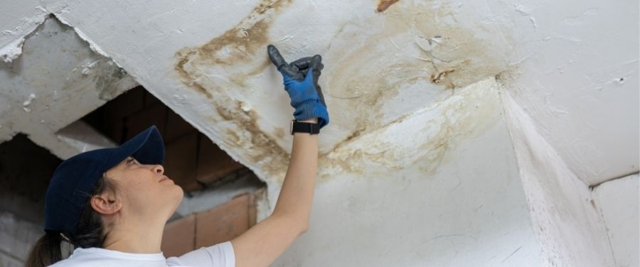 What to Expect When Northern Cleanup Arrives on Site