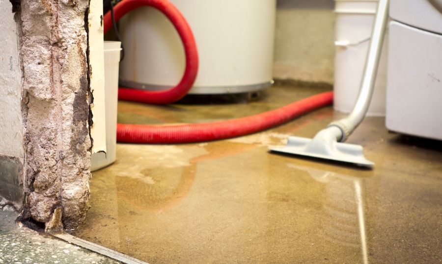 Why Northern Cleanup Is the Right Choice for Flood Restoration Services