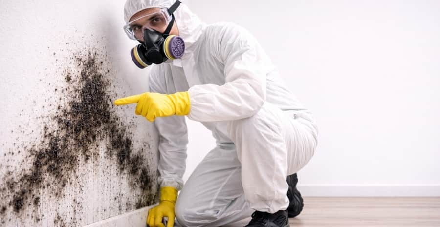 Mould Removal Services Heckmondwike