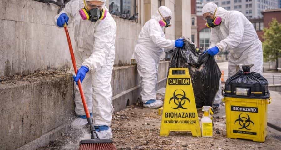 Pigeon Guano Removal Services Shipley